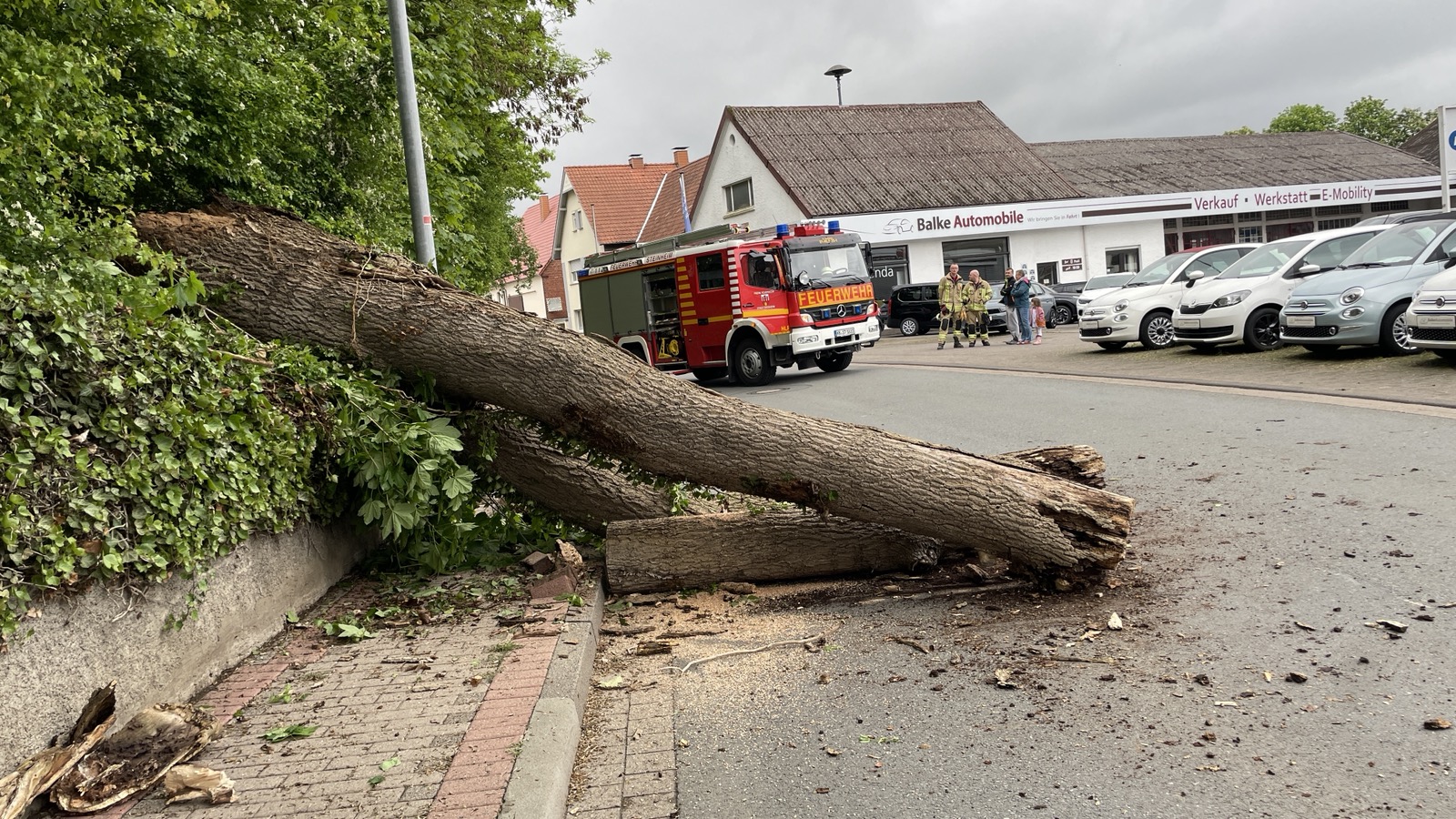 Einsatzfoto Baum über Fahrbahn