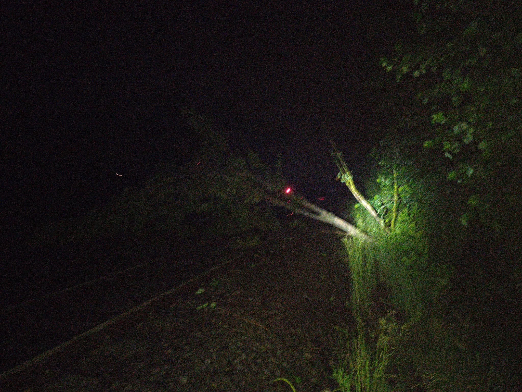 Einsatzfoto Unwetter mit mehreren ...