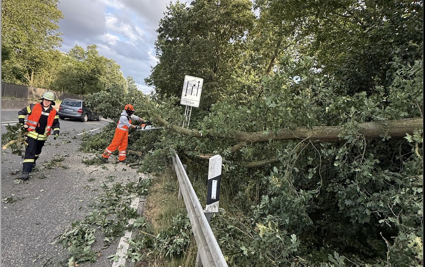 Einsatzfoto Baum auf Fahrbahn