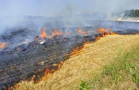 Einsatzfoto Flächenbrand